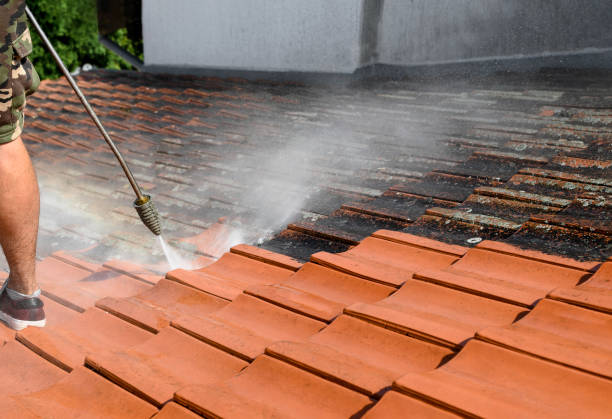 Best Garage Pressure Washing  in Buffalo, MN