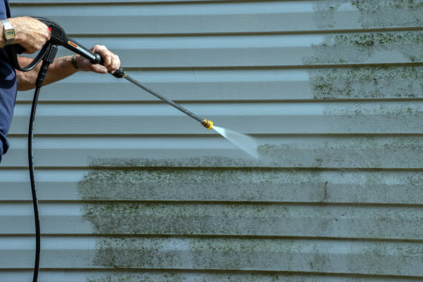 Best Residential Pressure Washing Services  in Buffalo, MN