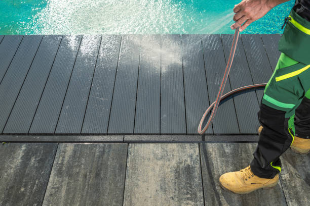 Best Roof Pressure Washing  in Buffalo, MN