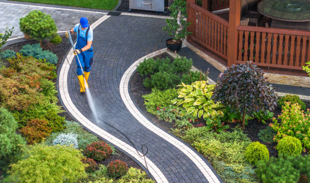 Best Best Pressure Washing Companies  in Buffalo, MN